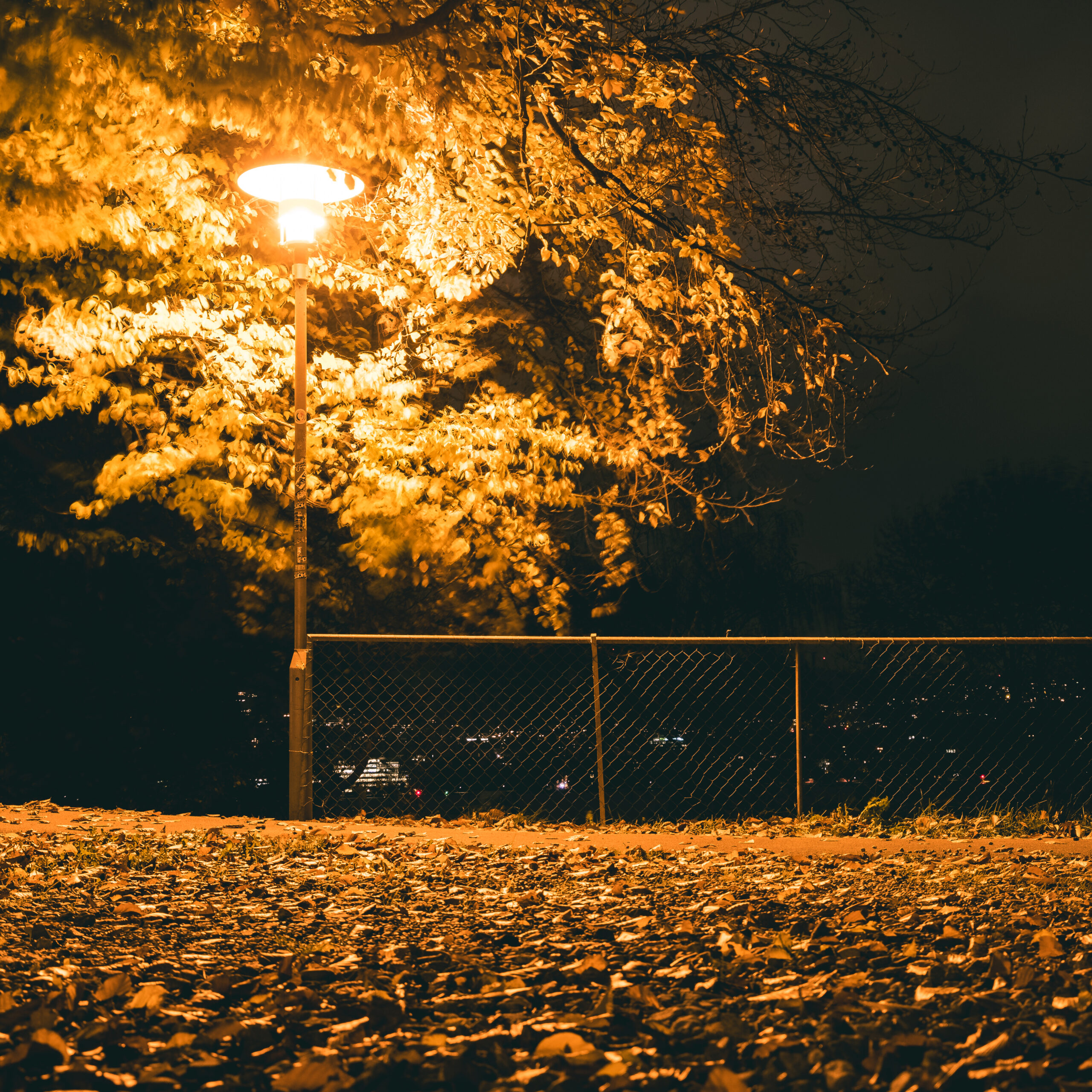 release: tlrsnw – awake